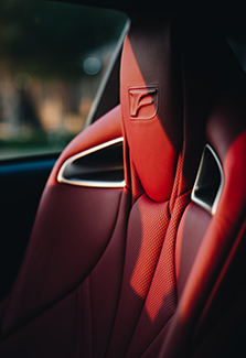 Leather Car Seat